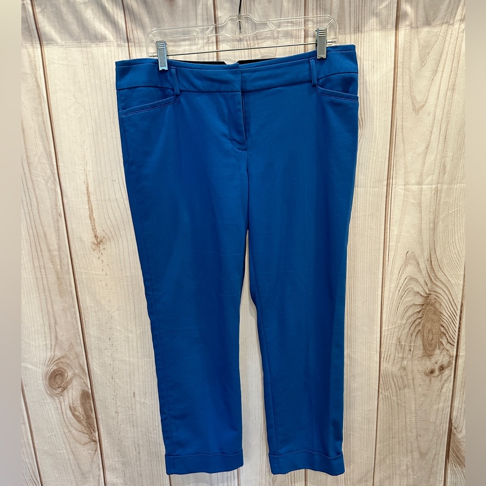 Express Columnist Pants - Bright Blue 10 R